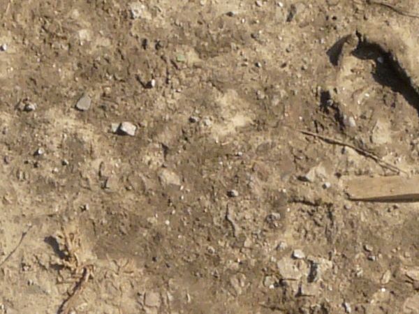 garbage on the ground texture